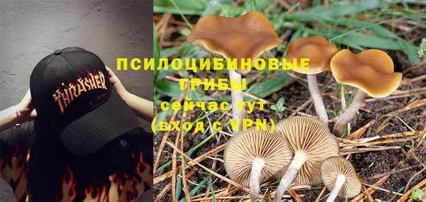 прущая мука Волосово
