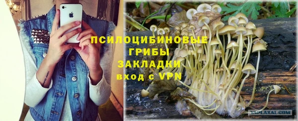 твердый Магадан