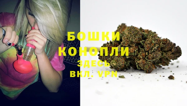 spice Волоколамск