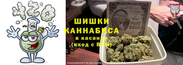 прущий лед Бородино