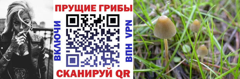 Галлюциногенные грибы ЛСД  Калач 